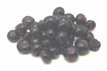 Черника -2 (huckleberry) Похожая на чернику, ягода