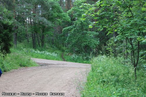 Главная монастырская дорога
