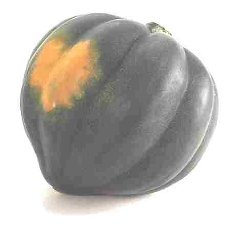 Зимние сорта : Желудевая тыква , ореховая тыква (acorn squash)