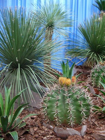      ,         ,  ... - 5