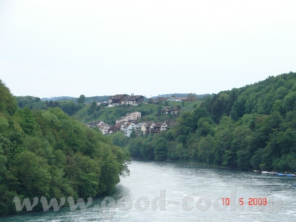 каштан цветёт ну это уже Германия - 2