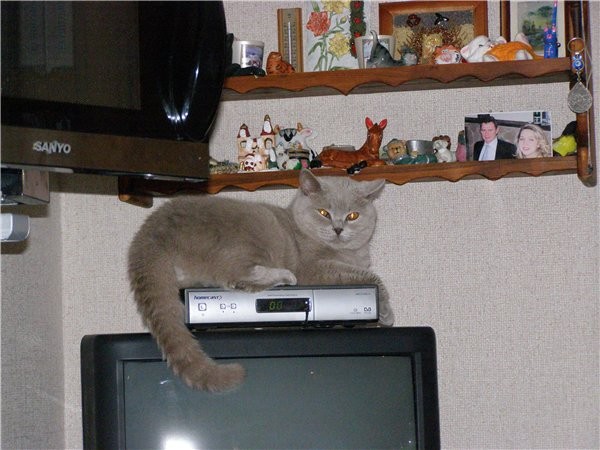 привет всем а это наше чудо