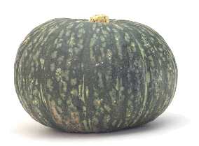 Зимние сорта : Желудевая тыква , ореховая тыква (acorn squash) - 8