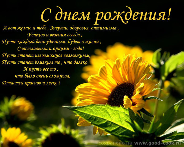 Др