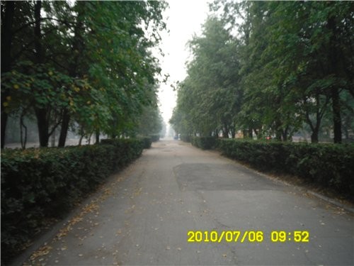 У нас тоже самолеты летают, тушат - 2