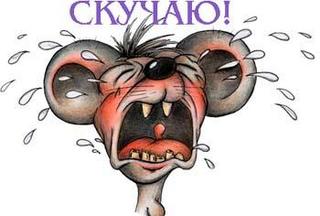 Куда пропали , Оля- , , -Лена, Наташа-