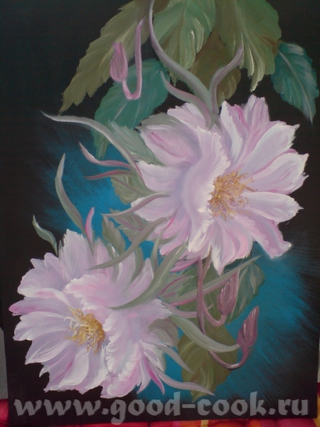 А вот мой CEREUS(картон