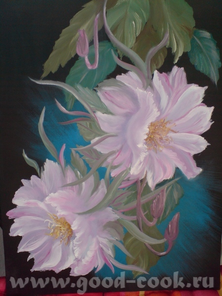    CEREUS( - 2