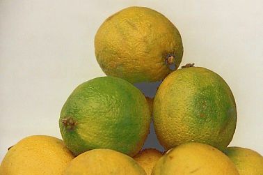 Лавровый лист - bay leaf, &#1608;&#1585;&#1602; &#1594;&#1575;&#1585;, &#1585;&#1606;&#1583;, &#160... - 2