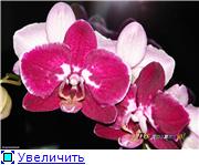 о тут всех надо поздравлять
