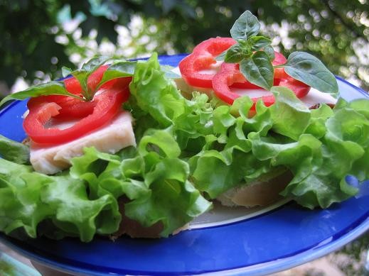 два завтрака просто бутеры с куриной грудкой,перцем и салатом и яичница в хлебе,вырезать мякушку и...