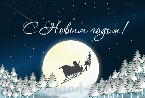 Натулечка, поздравляю тебя и твою семью с Новым годом