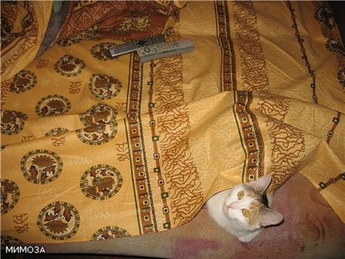 Новая фотка Симы: "Раз, да, три, четыре, пять