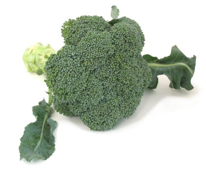 (broccoli) (broccoli Romanesco)  (broccolini = baby broccoli)