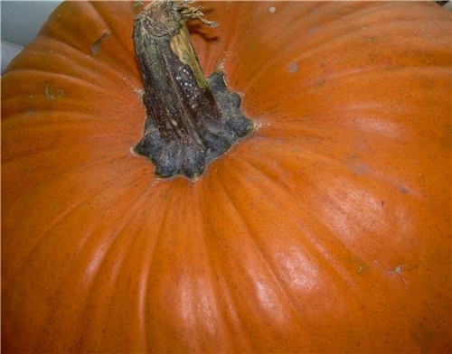 Как обещала несу показать главный атрибут Helloween - 2