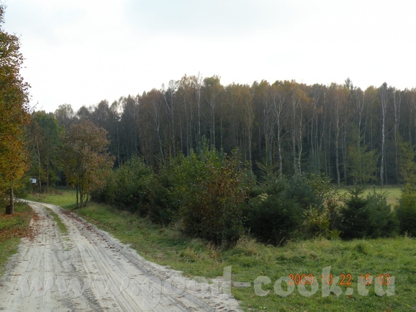 Фотки красивые, вообще люблю я наши церкви, озера