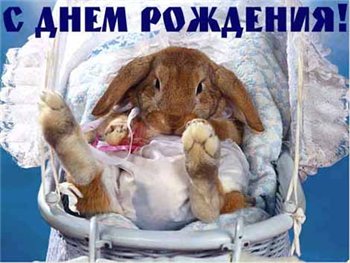 Ирочка, с Днем Рождения