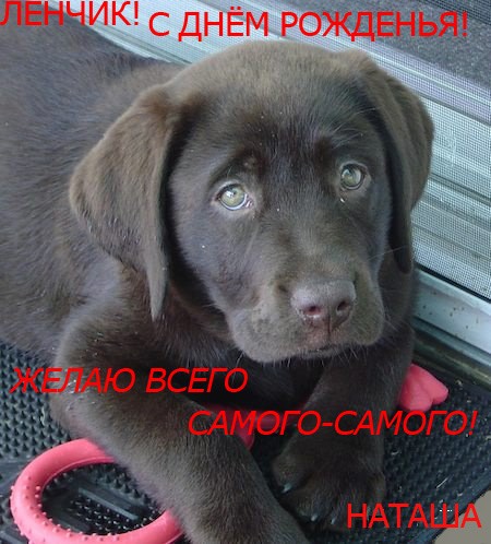 О ,прекрасная Елена