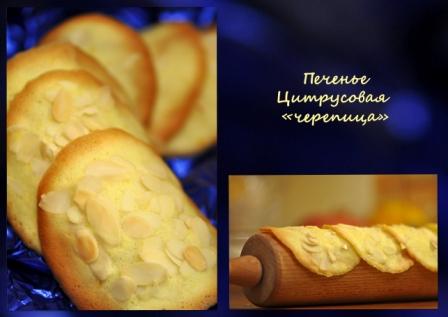 Цитрусовая "черепица" автор рецепта и фото: