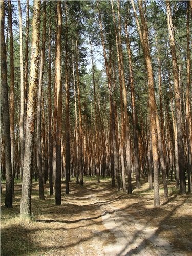 Девочки и мальчики, привет