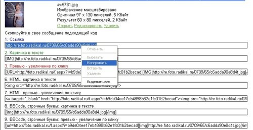 Введите ссылку на файл Вашего аватара - 3