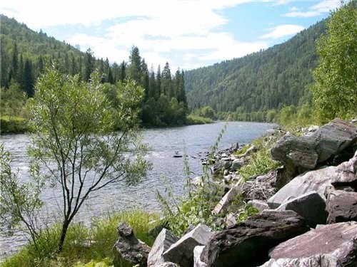река Она папоротники пью воду