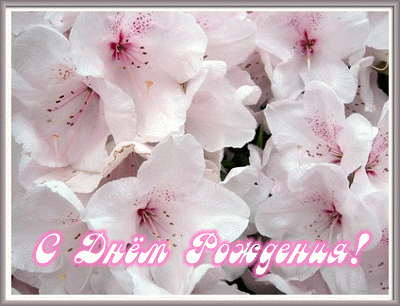 ЮЛЯ С ДНЕМ РОЖДЕНИЯ