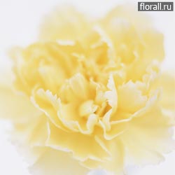 Тест: моё имя по-китайски - 2