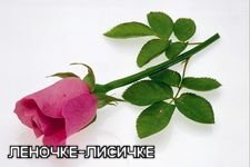ЛЕНОЧКА С ДНЕМ РОЖДЕНИЯ