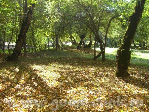 а вот осень в кубинском районе