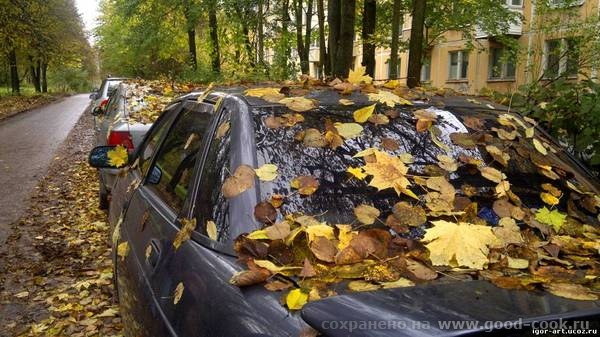 Осень