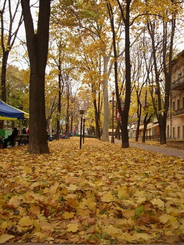 Все самые-самые фото, на предыдущих страницах - 8