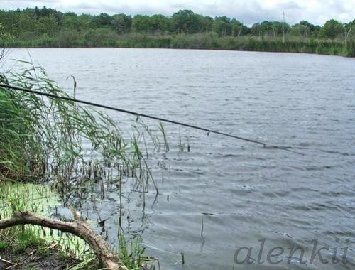 Далее,путь наш лежал в городок ALLERЁD - 2