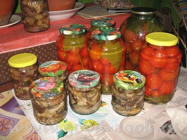 Девочки, родненькие здрасьте - 4