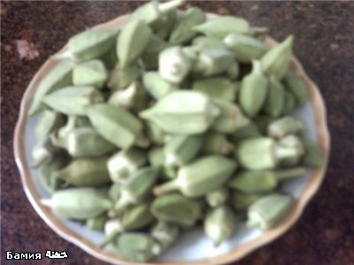 Викуль а это Бамия специально для тебя как я уже говорила Бамия двух сортов первая Бамия наамэ тоес... - 2