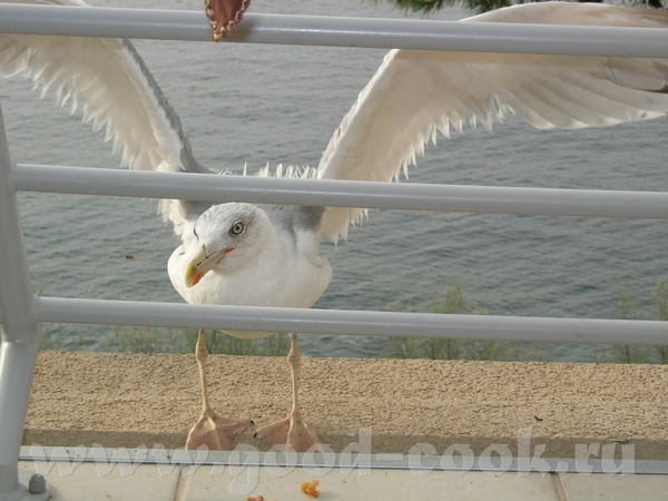  ,   ,     ,     ... - 6