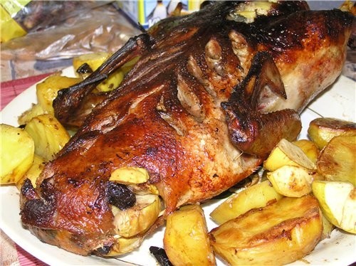 VEERA SeraFima  Emerald wa3333   