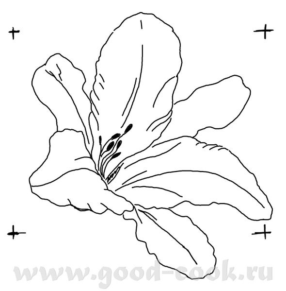 Урок 19 с 2 2008 год ссылка 18 урок еще не закачался