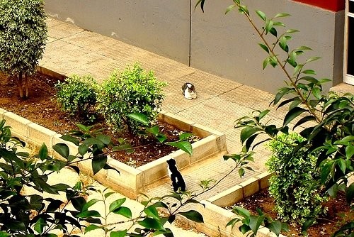 Кафедральный собор Эти цепи сделаны из цельного камня и скреплены между собой без единой крупицы це... - 6