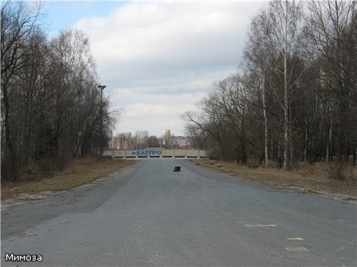 Дорога от стадиона Кирова к Финскому заливу Продолжение следует