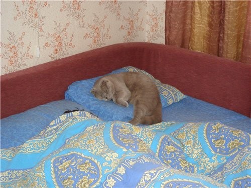 ну чем не сын - 2