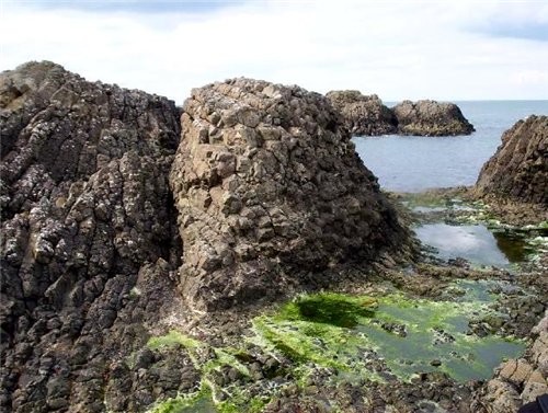 Побережье недалеко от Giant&#39;s Causeway Ballintoy Harbour недалеко от Giant&#39;s Causeway Ropeb... - 5
