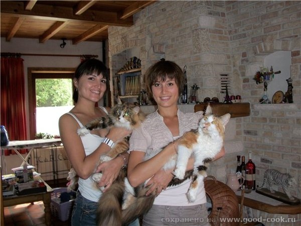А ещё ваша любовь к ним да и мы все кошатники и собачники будем держать кулачки за твоих питомцев - 2