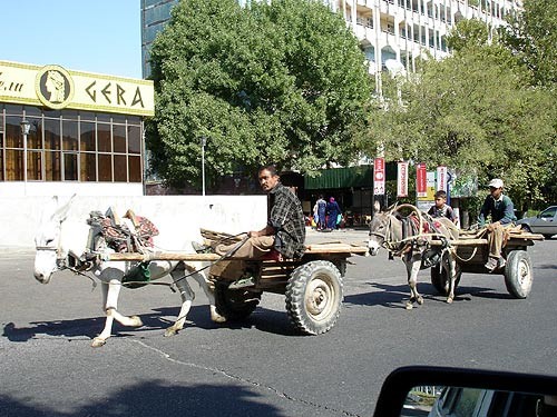 девчат хочу для вас фотки поставить - 2
