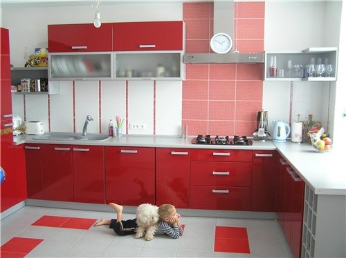 Вот и фотки кухни с некоторыми ее обитателями, которые категорически не желали двигаться в сторону - 3