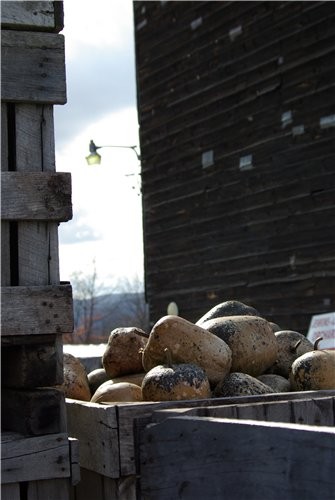     ,    Upstate New York ,    ... - 8