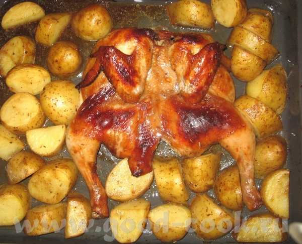 Спасибо