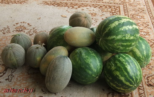 Девочки, спасибо всем большое - 2