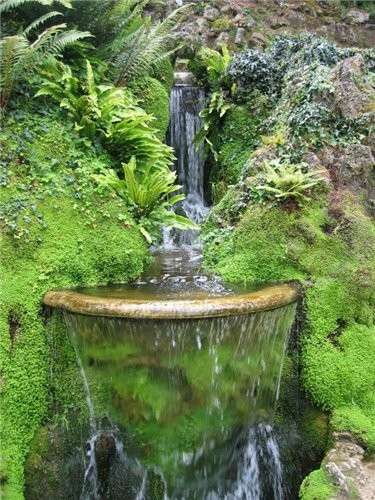 Powerscourt House парк - 2