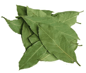 Лавровый лист - bay leaf, &#1608;&#1585;&#1602; &#1594;&#1575;&#1585;, &#1585;&#1606;&#1583;, &#160...